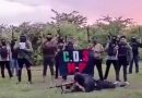 El crimen organizado pretende sustituir al Estado Mexicano