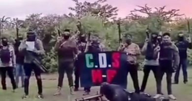 El crimen organizado pretende sustituir al Estado Mexicano