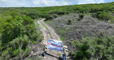 Clausura Profepa obras ilegales por cambio de uso de suelo en ANP Peña Colorada