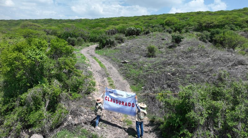 Clausura Profepa obras ilegales por cambio de uso de suelo en ANP Peña Colorada