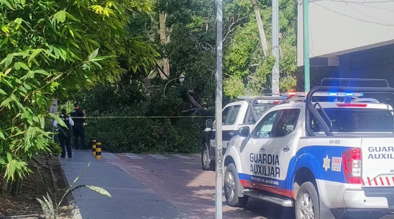 Lluvias y fuertes vientos habrían influido en caída de árbol que dejó una persona muerta: Kuri
