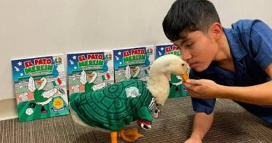 Lanza el Pato Merlín su libro para colorear